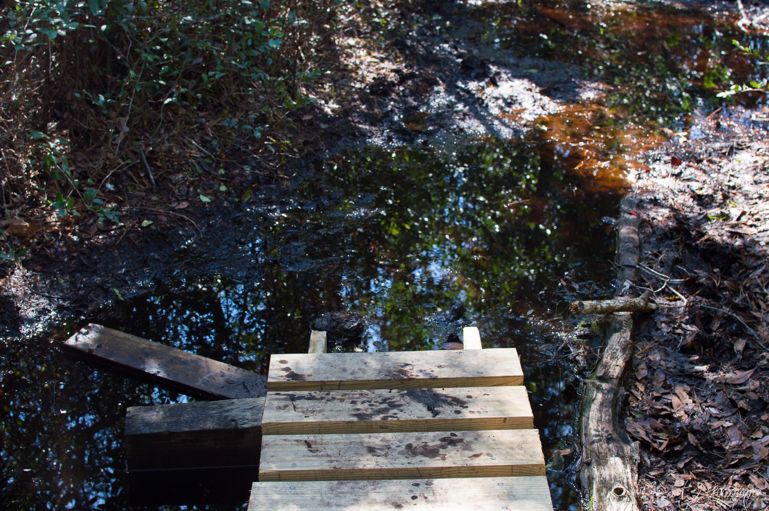 The boardwalk literally just ended in the mire: Fin, Finito, das Ende.