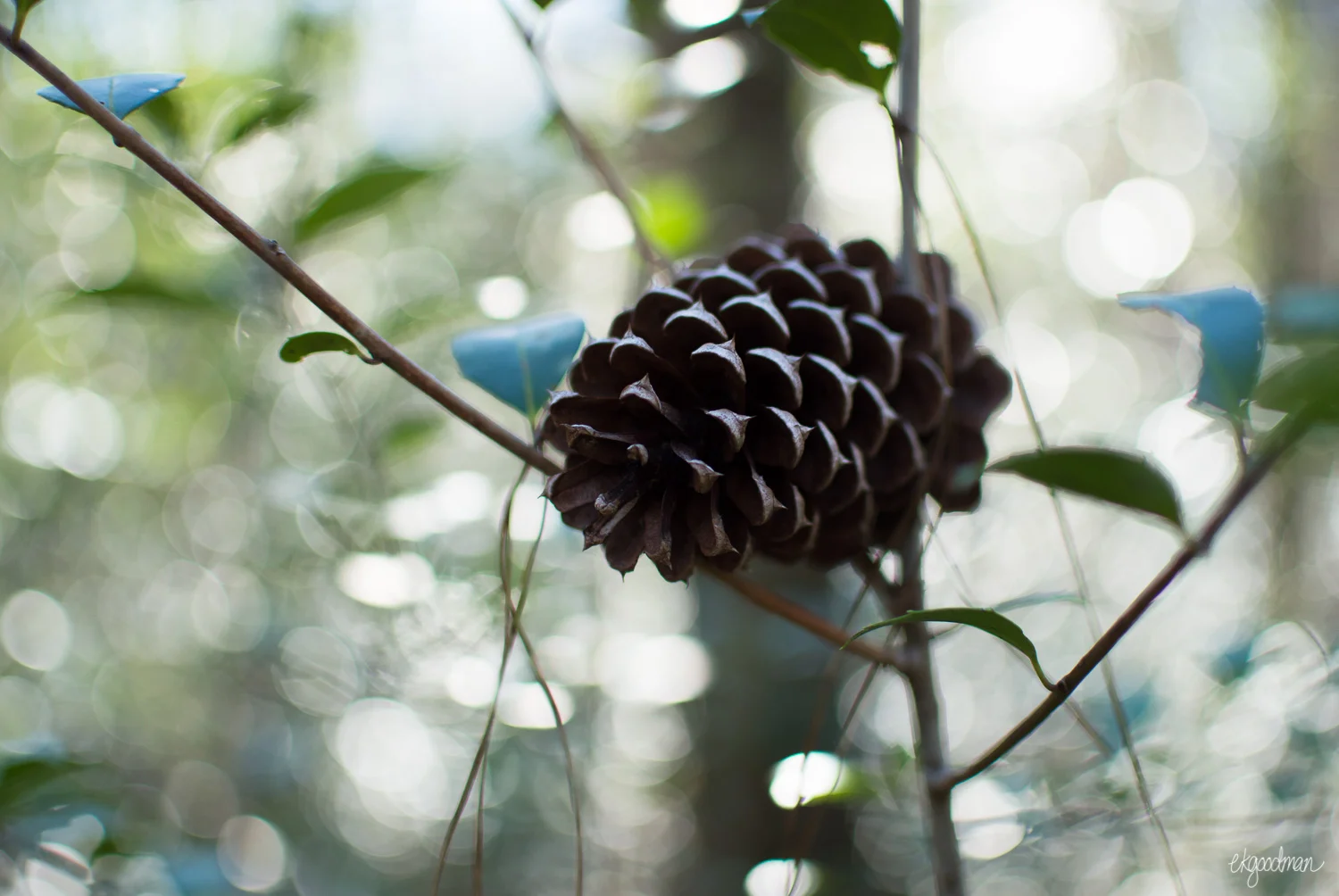 The Art of Discovery