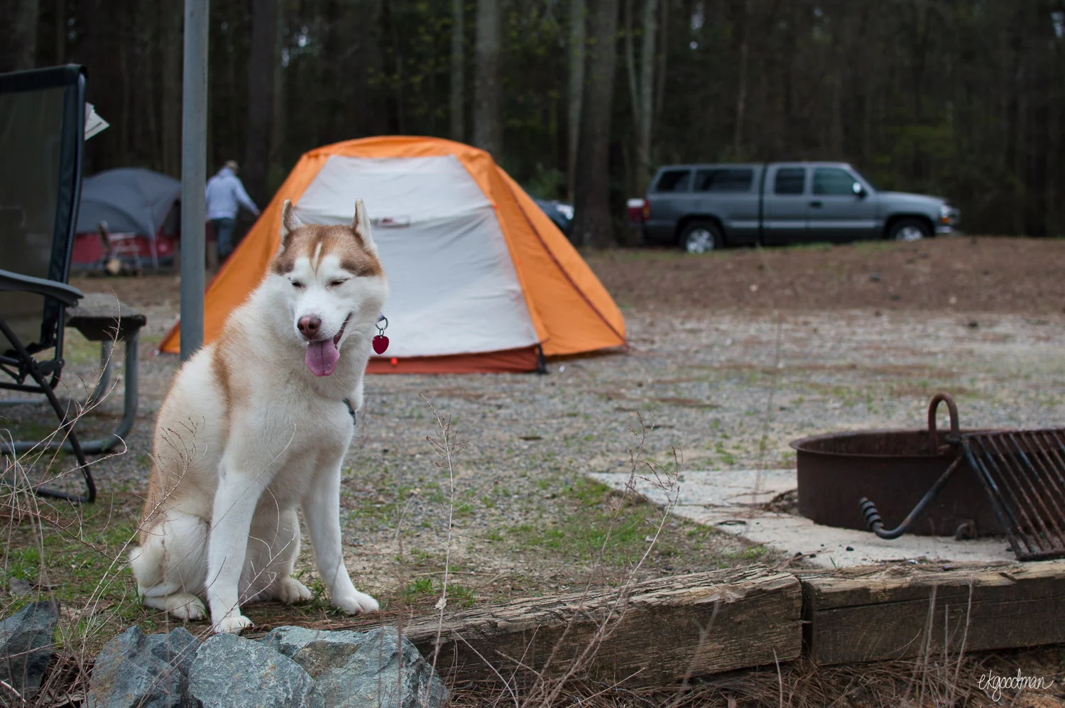 Ryder wasn't thrilled by the non-stop wind. Squint squint!
