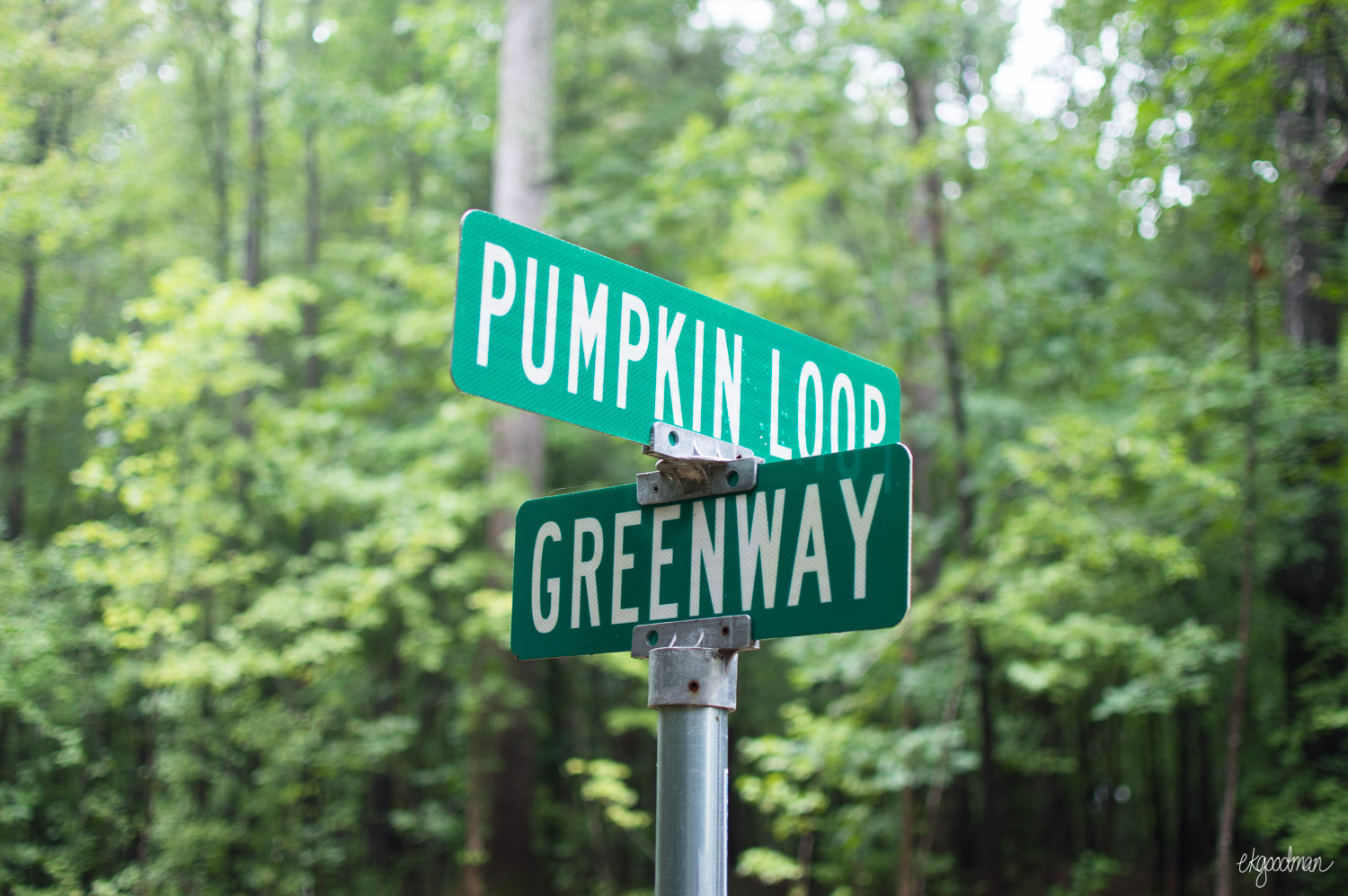 The Pumpkin Loop crosses with a paved greenway in some places.