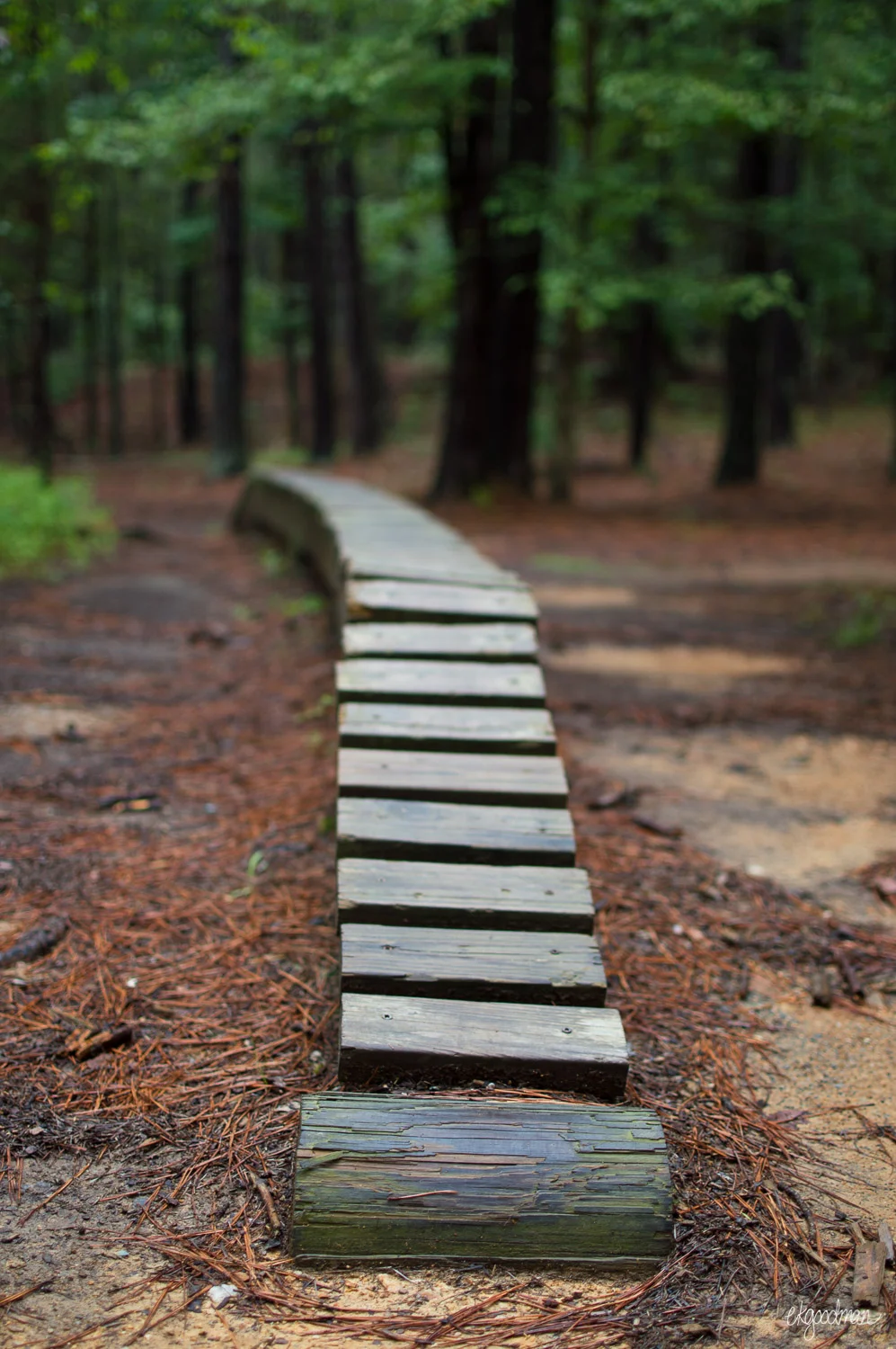 Some of the single-track paths are very popular with mountain bikers and have ramps and jumps. The Pumpkin Loop is frequently used as an access trail for mountain bikers.
