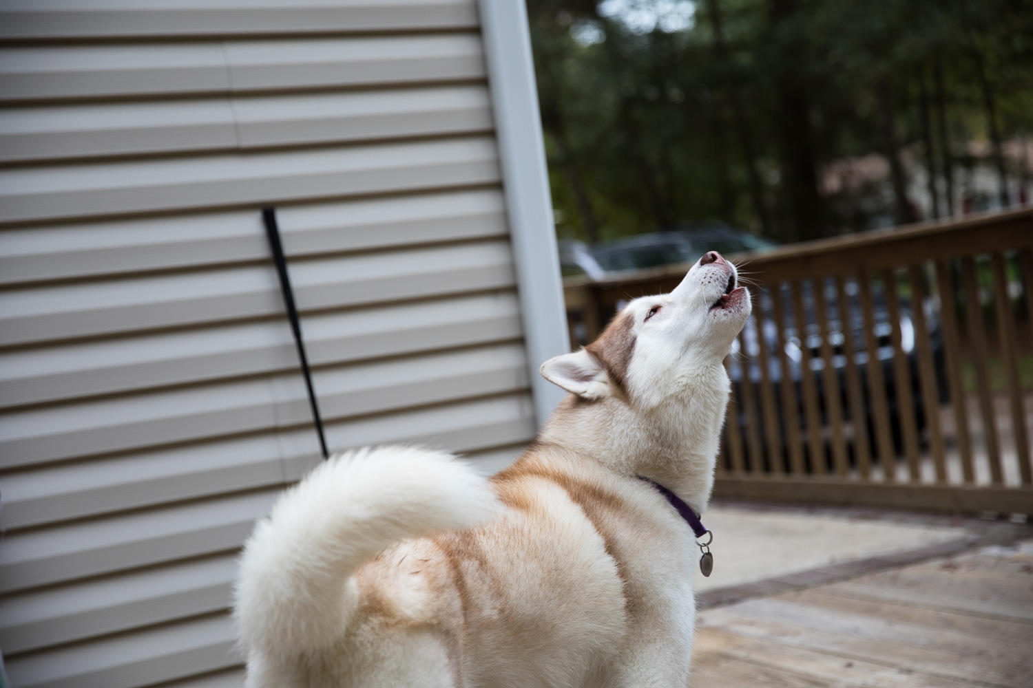 C'mon, Ma! Let's go run!