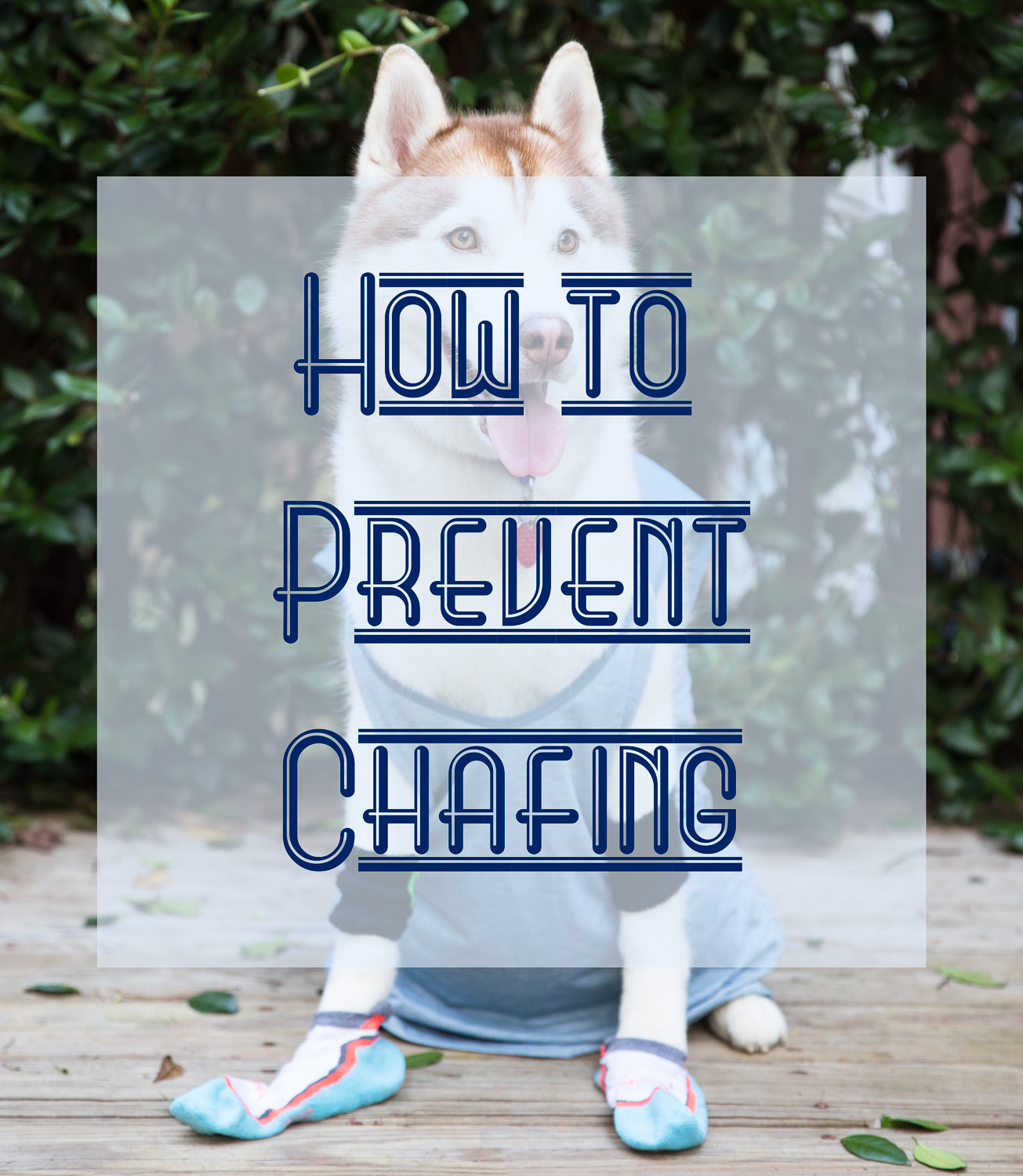 5 Tips to Prevent Chafing (and 4 Tips on What to Do if You're Already  Chafed) — The Restless Wild