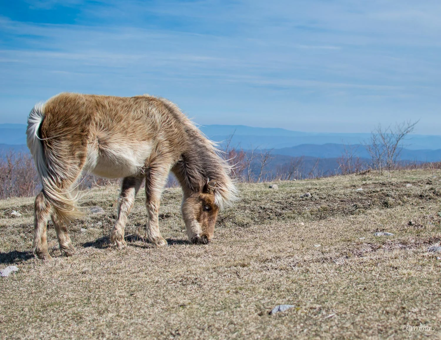 Grayson_Highlands-68.jpg