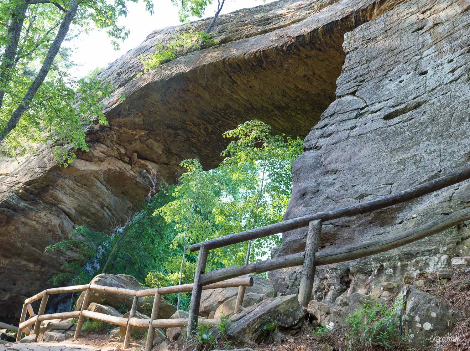 Kentucky_Natural_Bridge-20.jpg