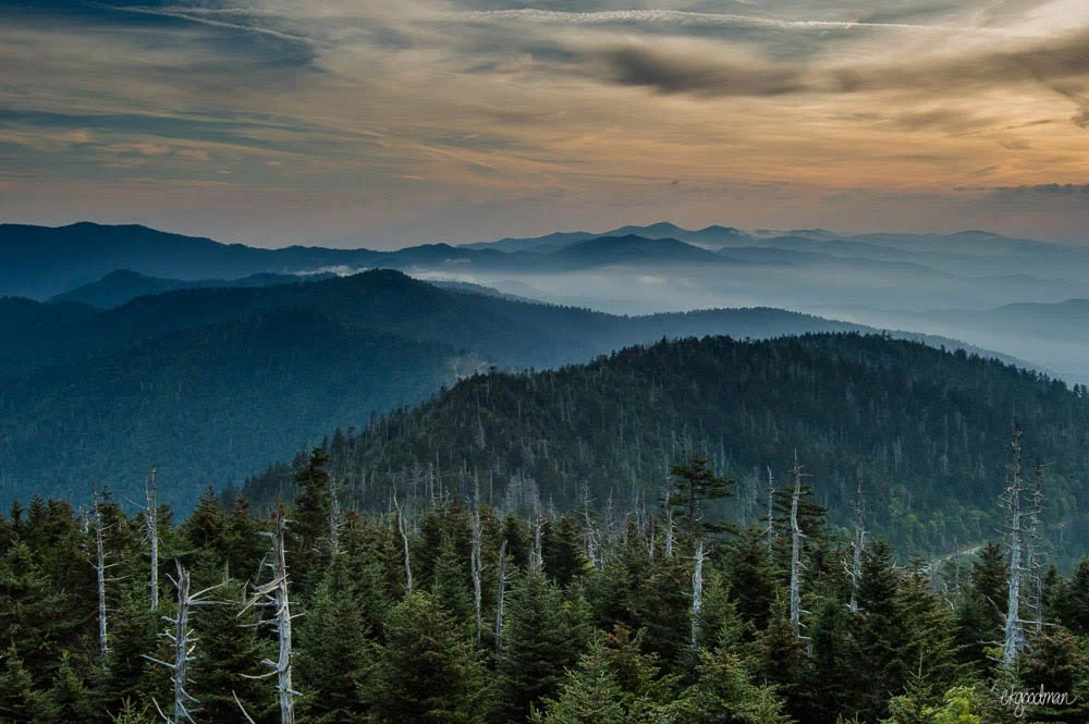 ClingmansDome.JPG