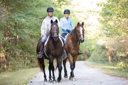 american tobacco trail wake county American Tobacco Trail Offers Miles of Riding for Equestrians — The  Restless Wild