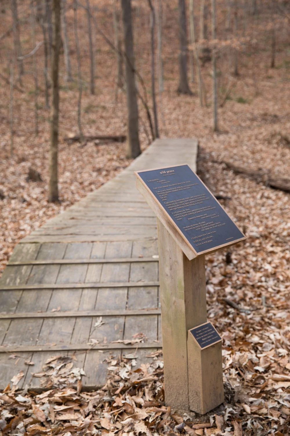 SwiftCreek-7.jpg