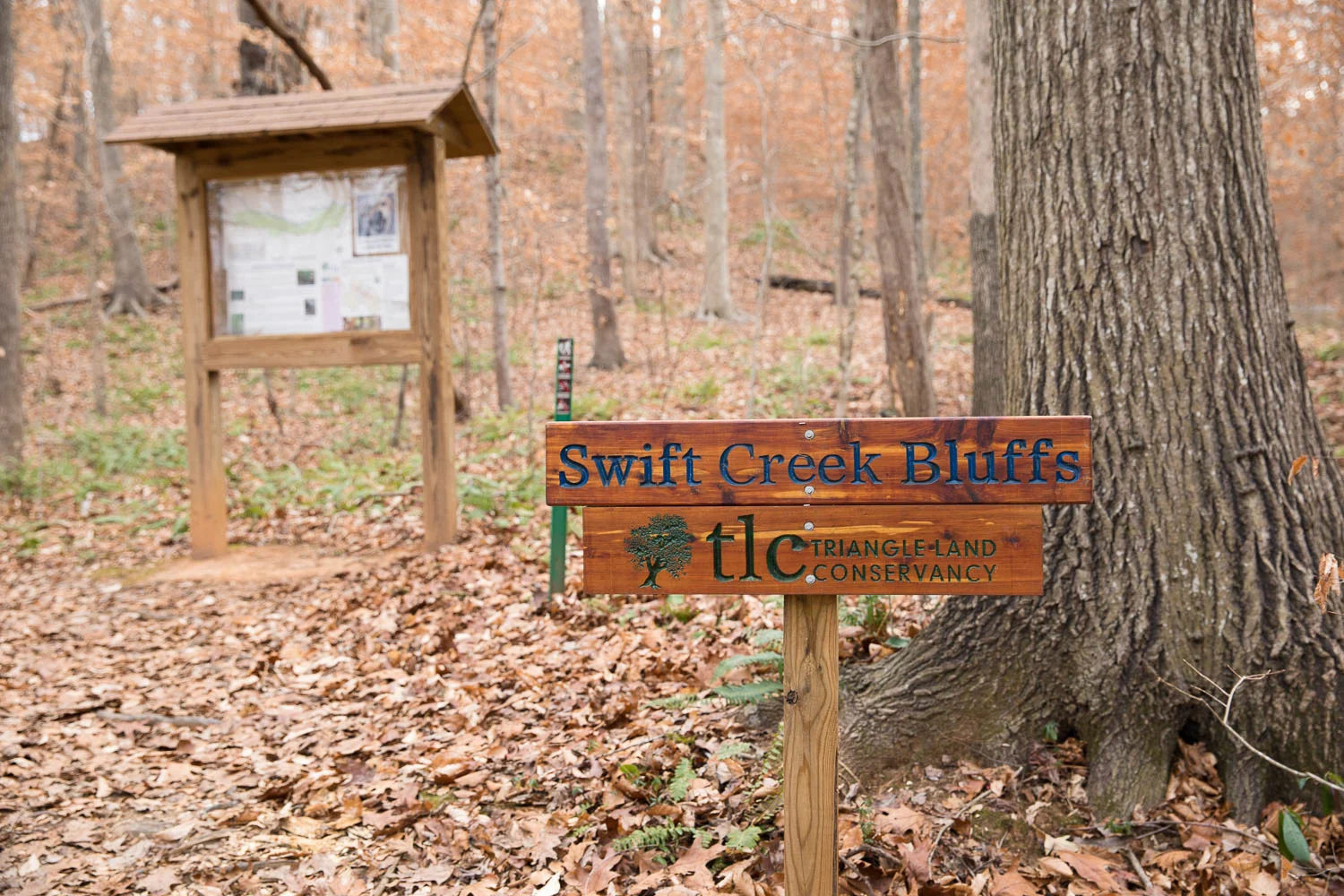 SwiftCreek-18.jpg