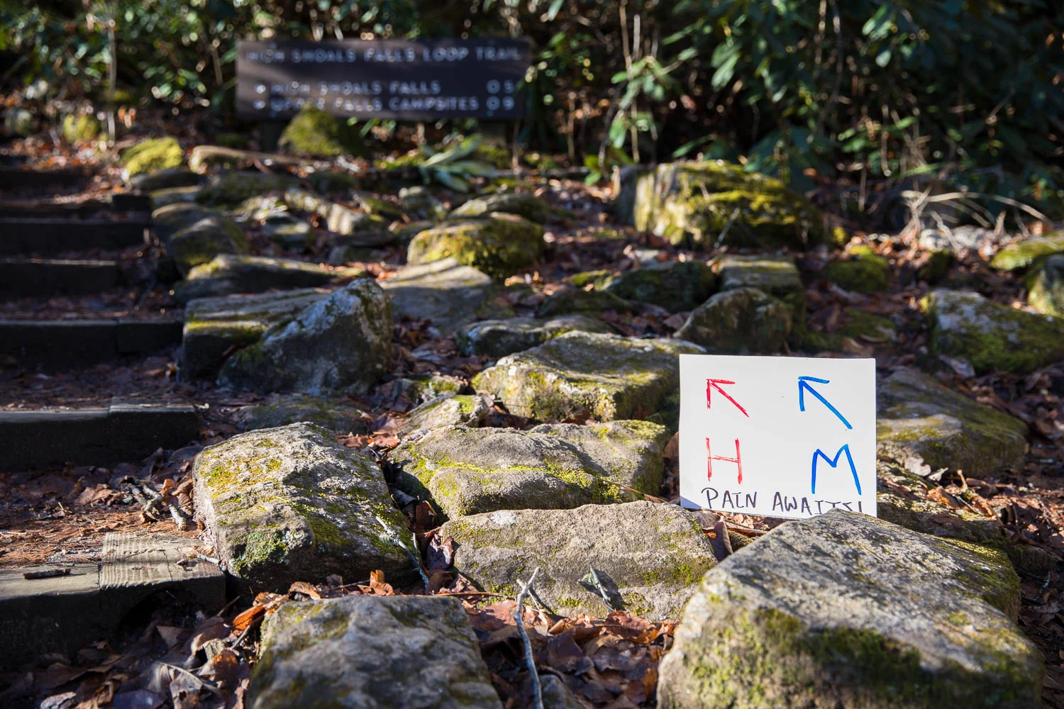 "Pain awaits!" A sign directing runners along the trail marathon and half marathon course.