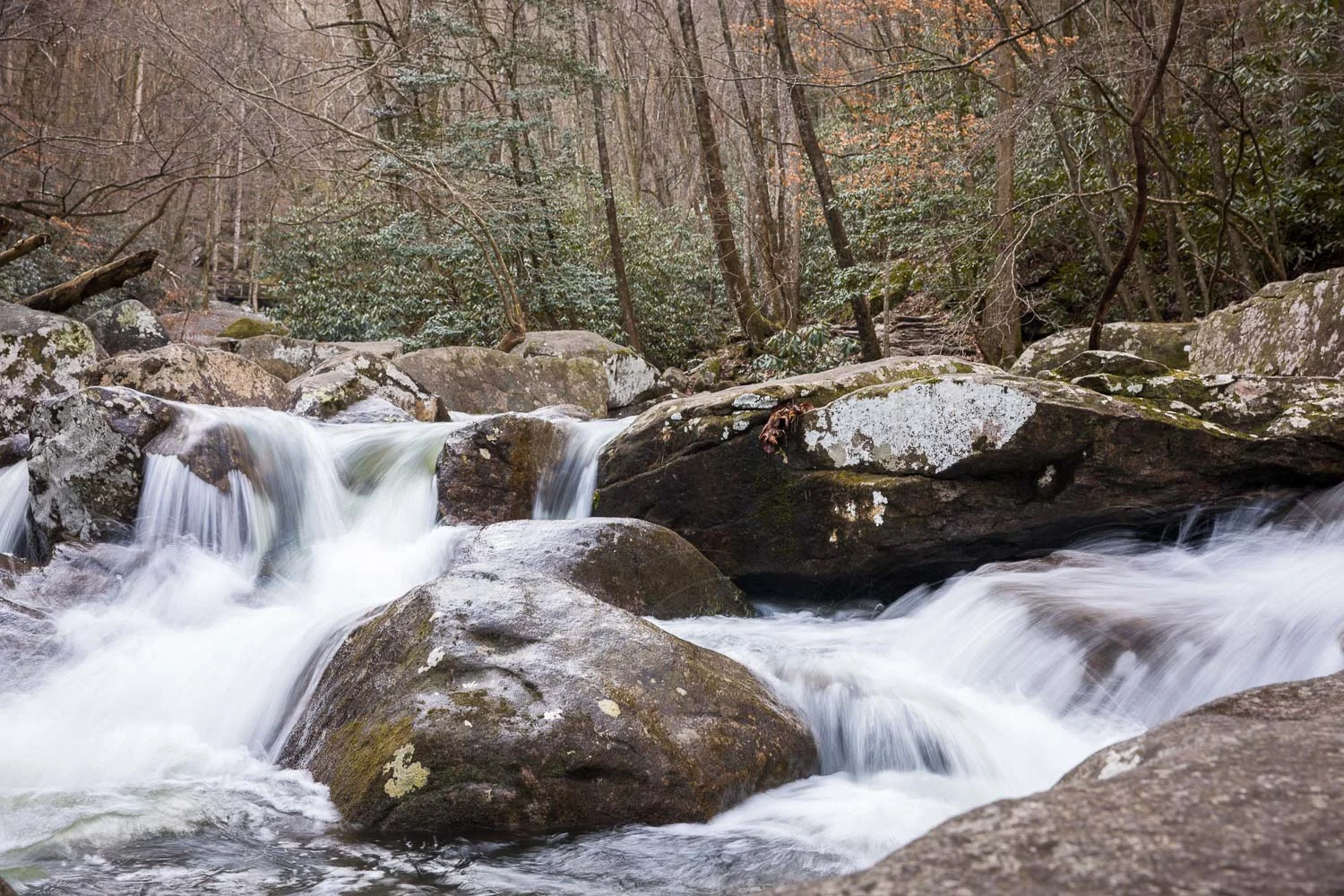 The Jacob Fork River
