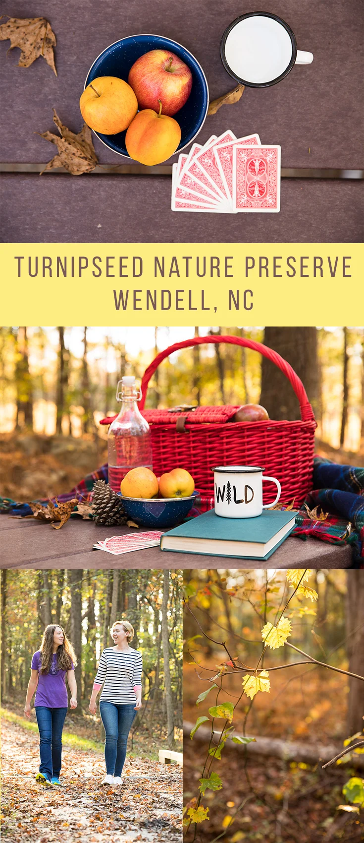 Sneak Peek Turnipseed Nature Preserve Now Open in Wendell — The