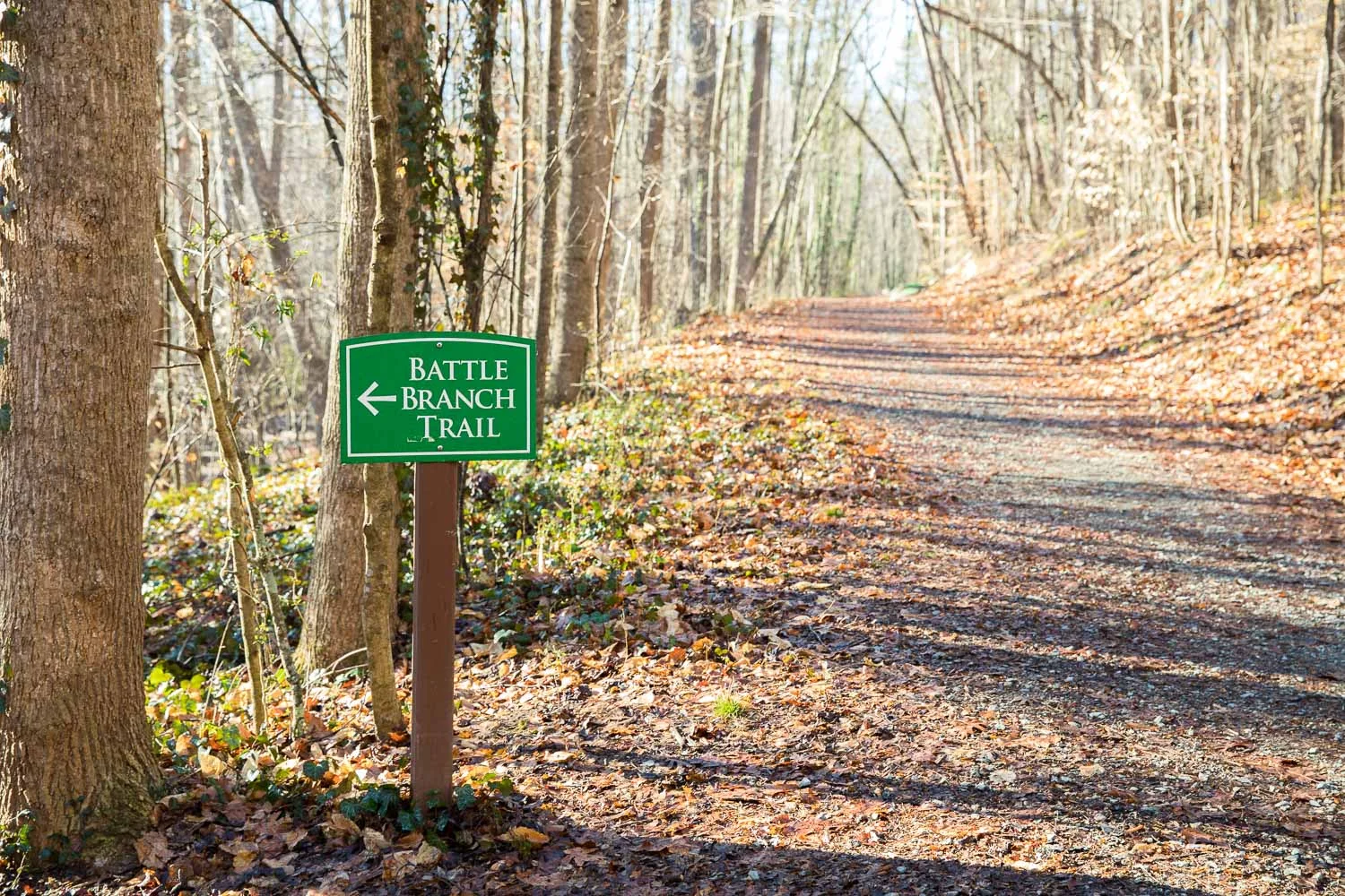 The OWASA access trail is on the right, while Battle Branch Trail runs along the OWASA access trail but on more technical terrain.