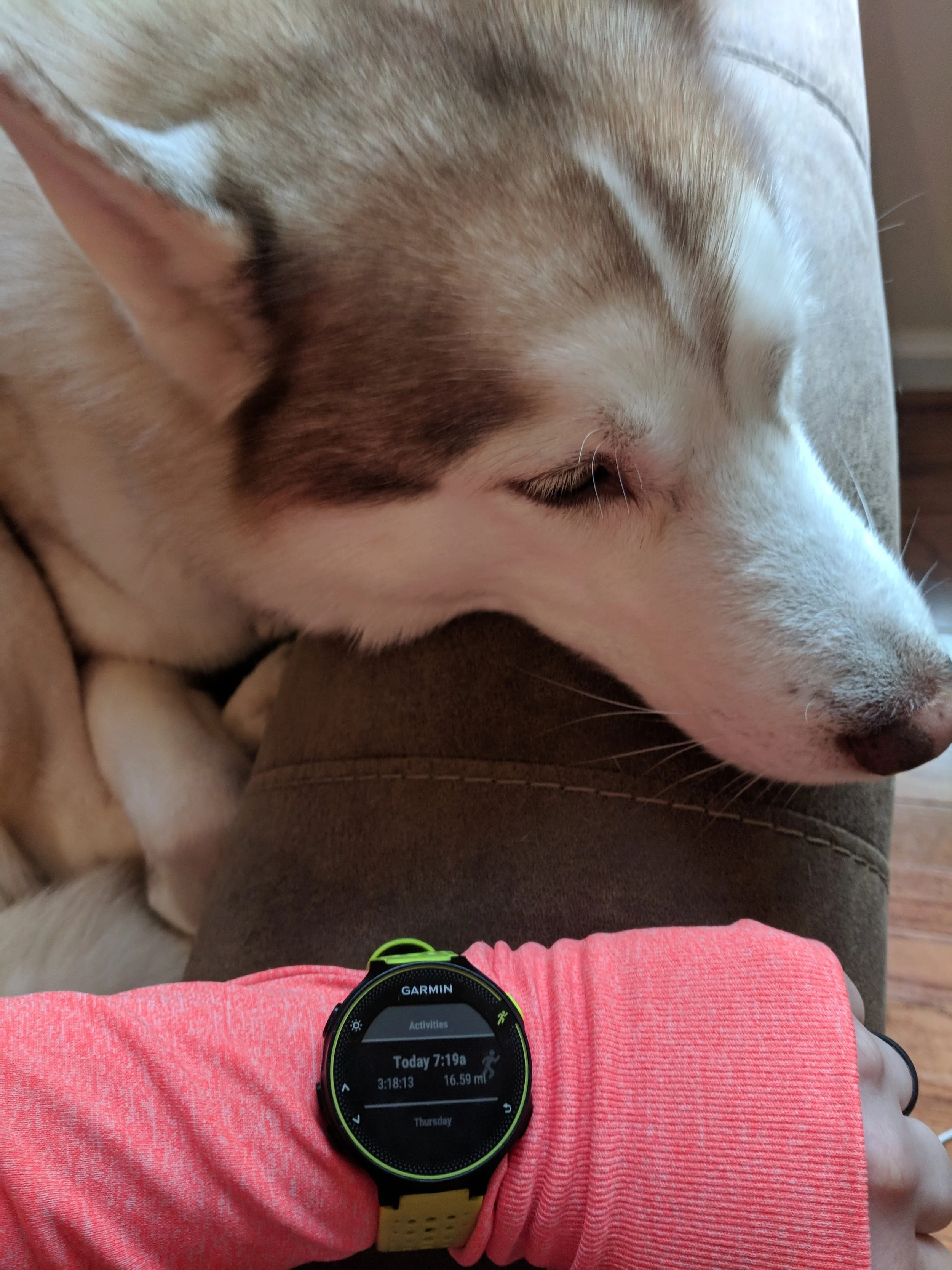 16.59 - longest run to date! Ryder wasn't so impressed though.