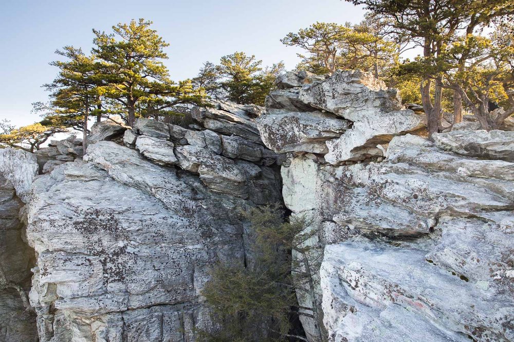 Hanging Rock The Restless Wild