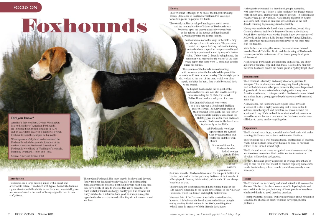 08_10_VICDOG-OCT_Press-2-3.jpg