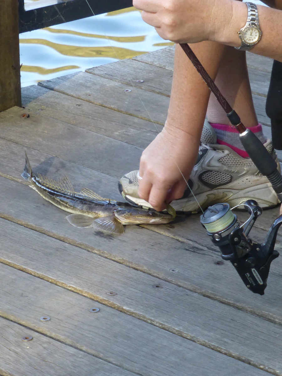 A successful catch from one of the fishing enthusiasts