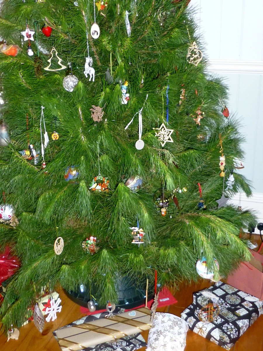 Presents gathered beneath the tree