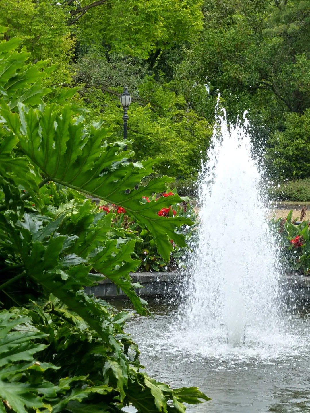 kew10.jpg