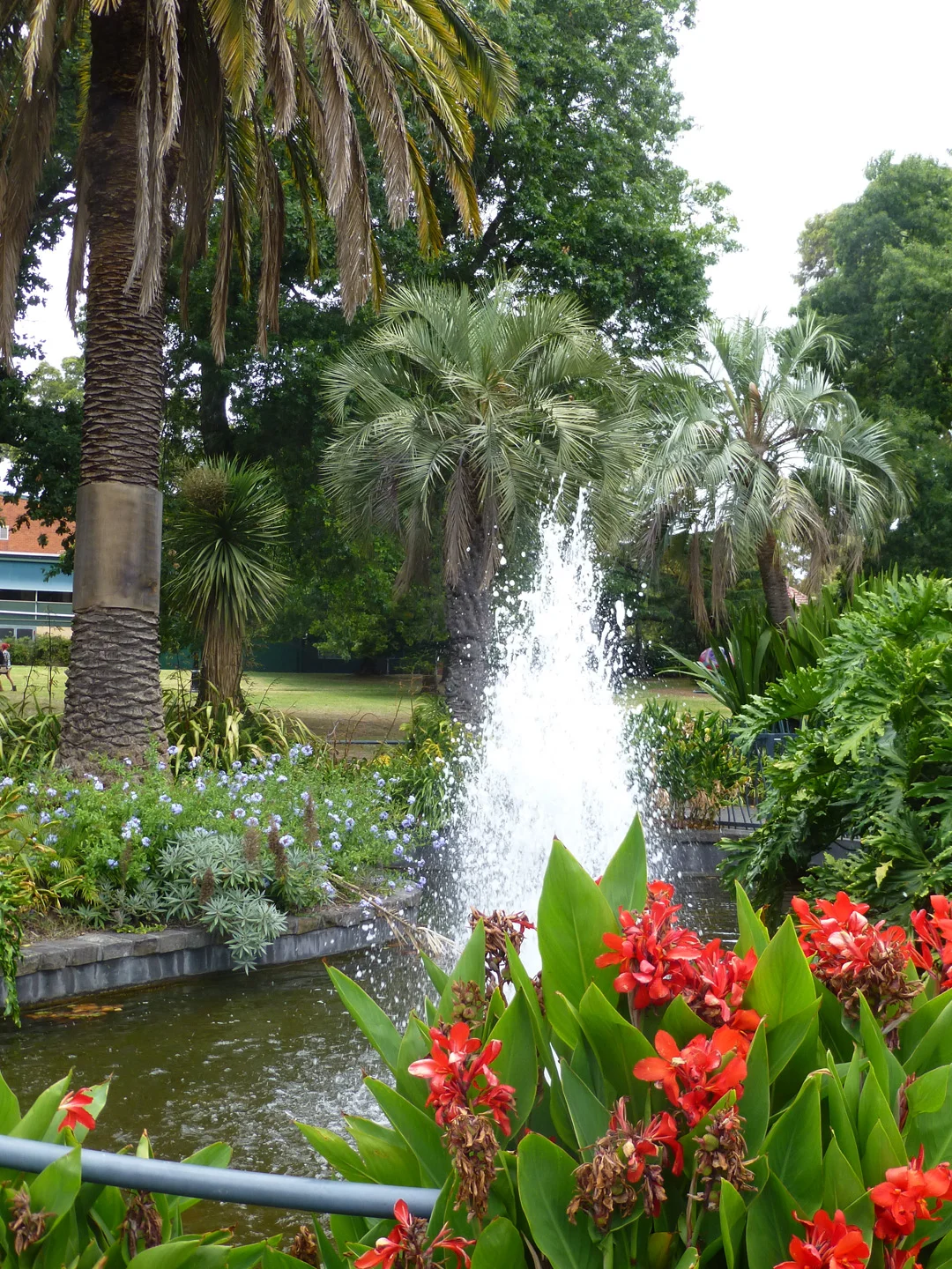 kew24.jpg