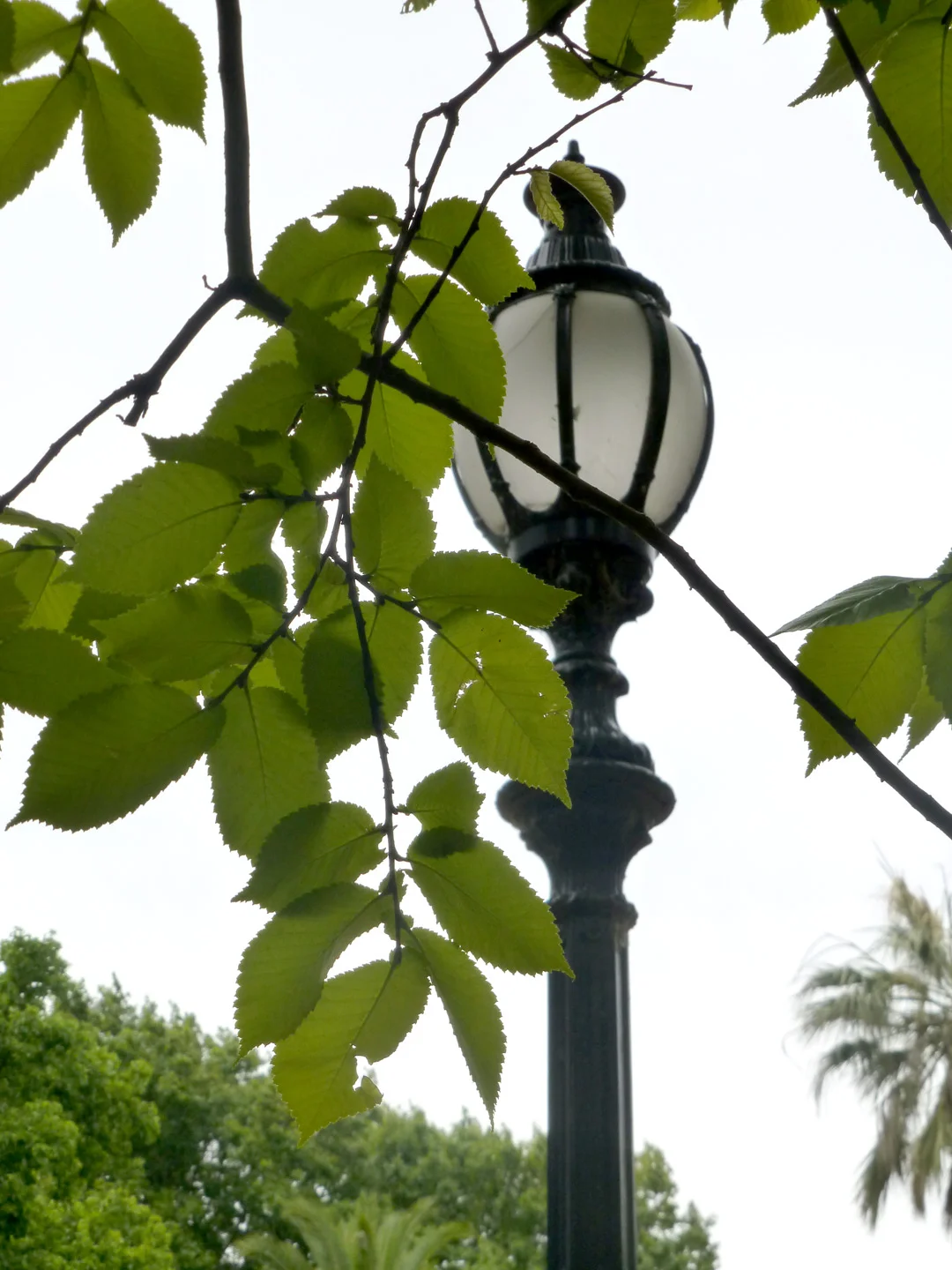 kew15.jpg