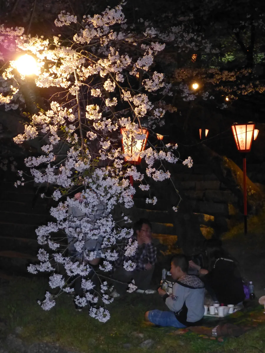 Another small hanami picnic group nearby