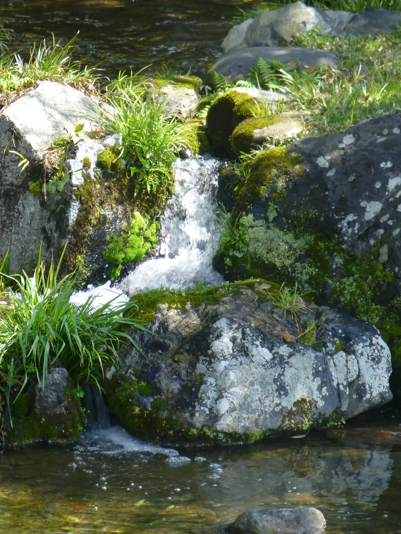 The main waterfall of the garden. 