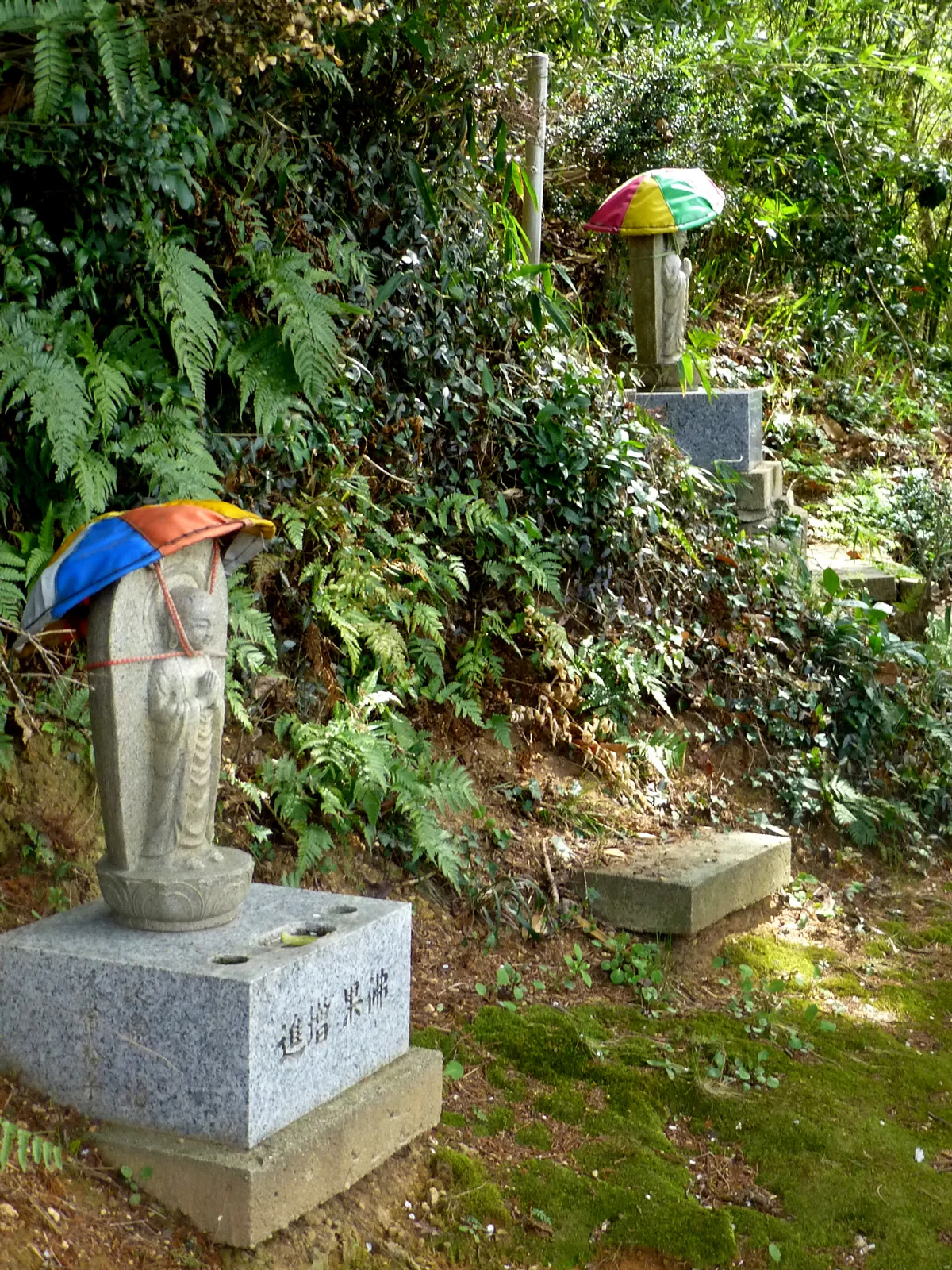 Tsuyama-walk2c.jpg