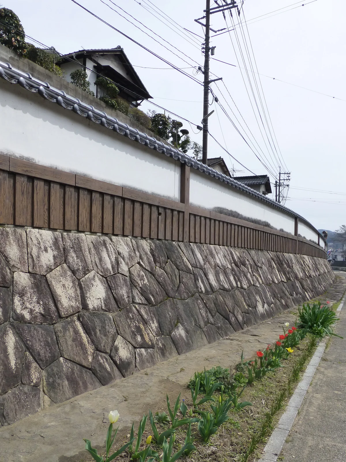 Tsuyama-walk4.jpg