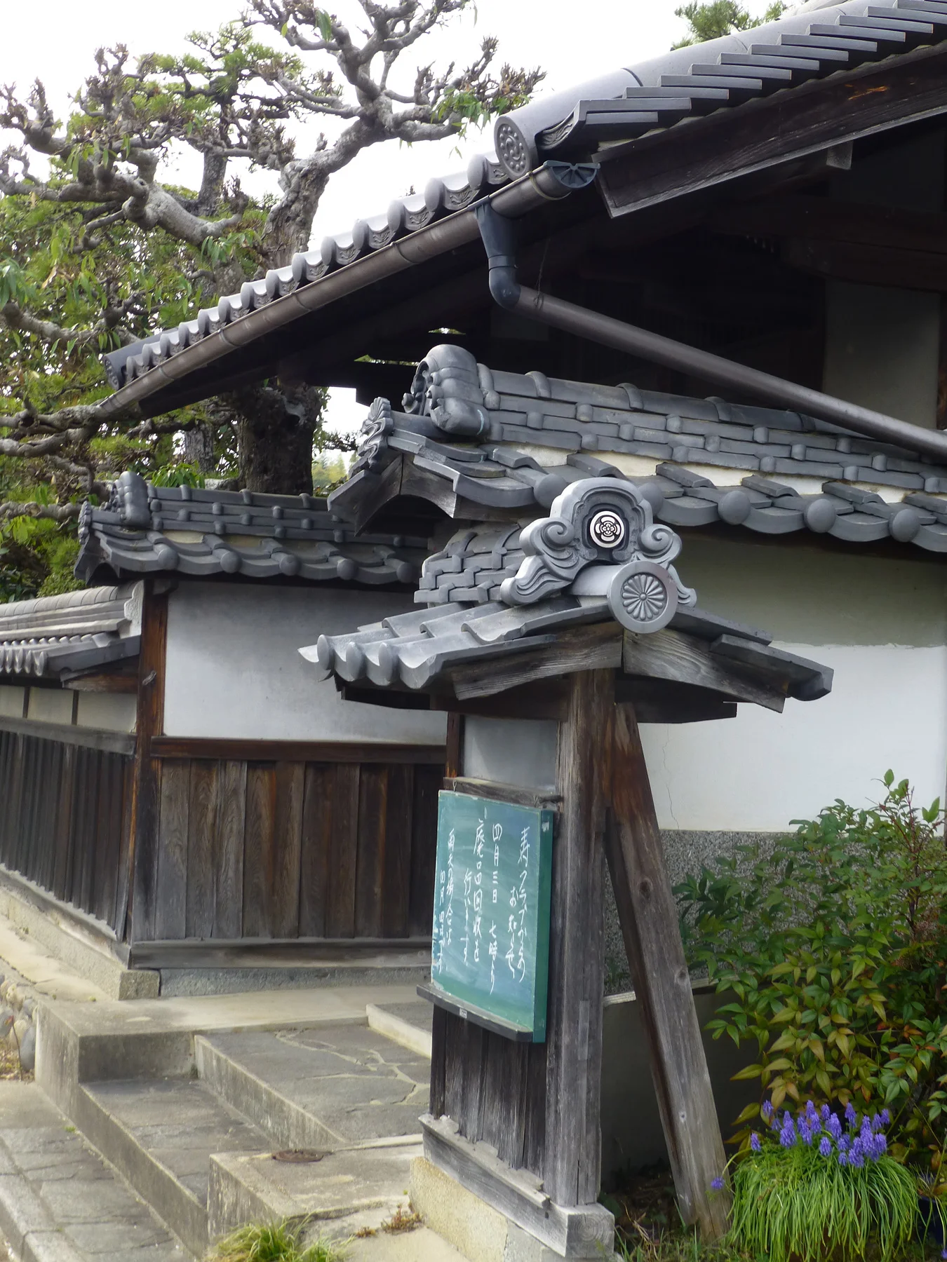 Tsuyama-walk9.jpg