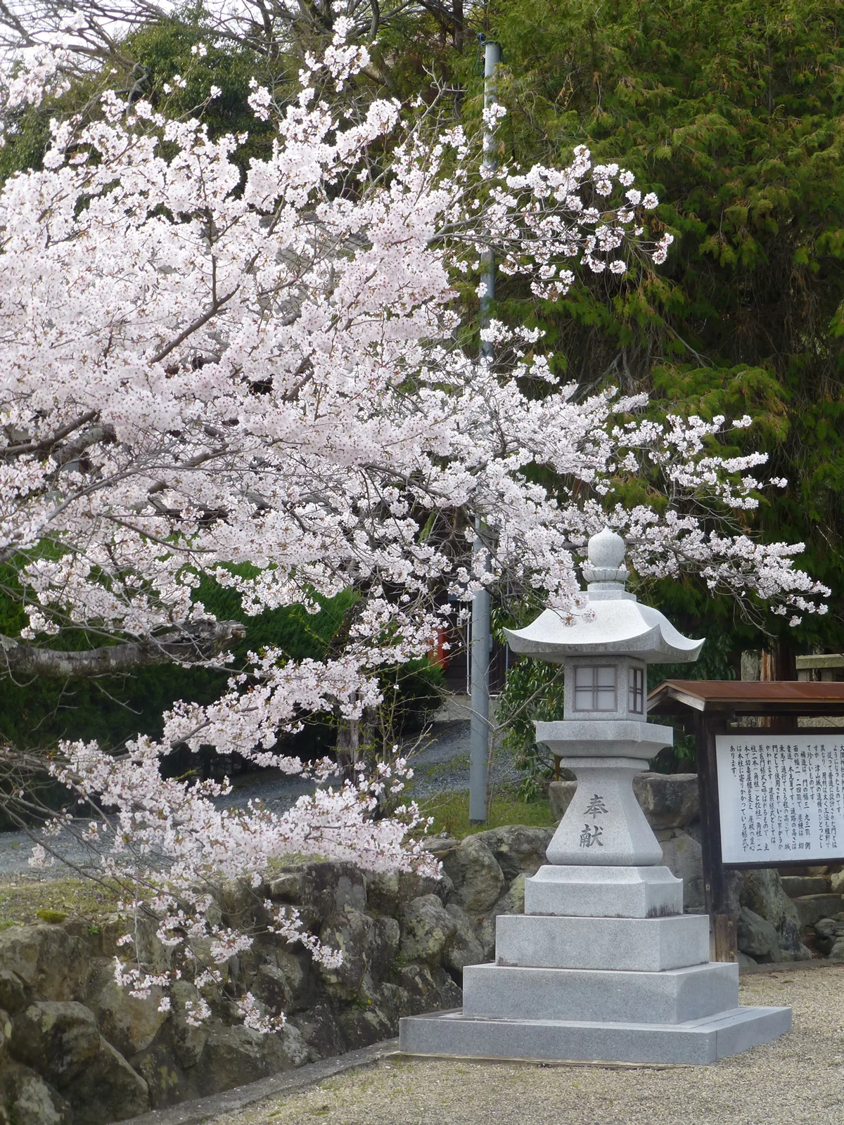 Tsuyama-walk10c.jpg