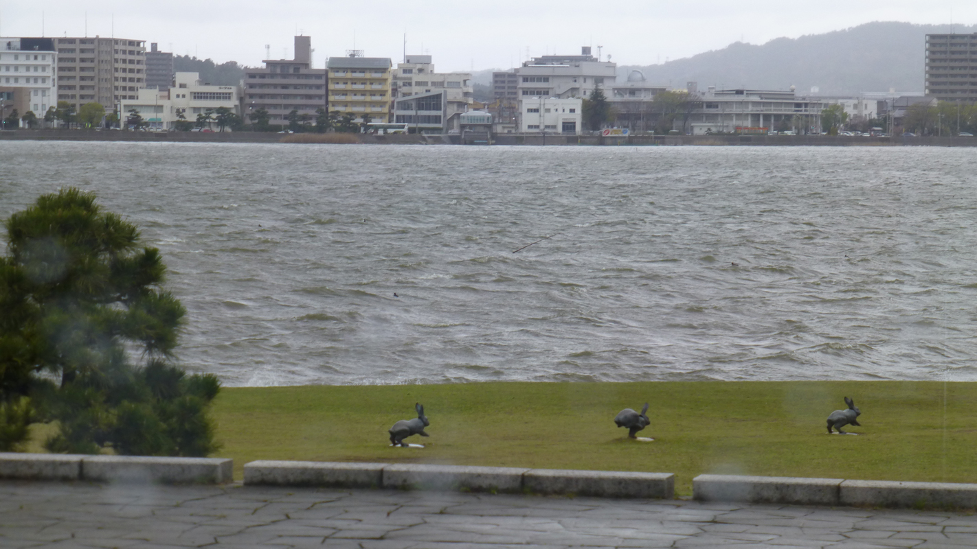 Rabbits bound across the lakeside forecourt of the Shimane Art Museum