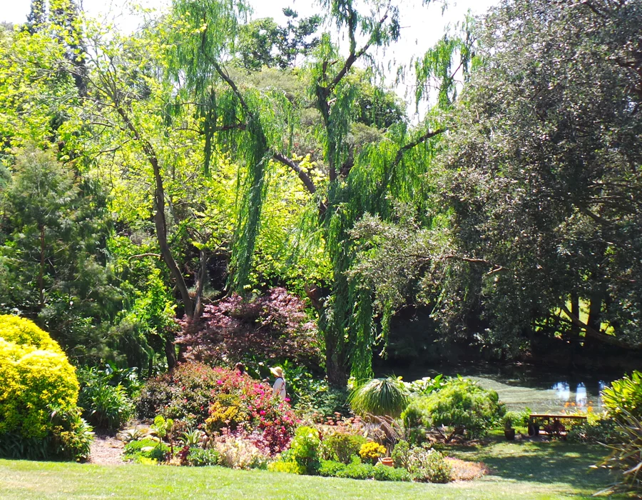 Elegans Garden