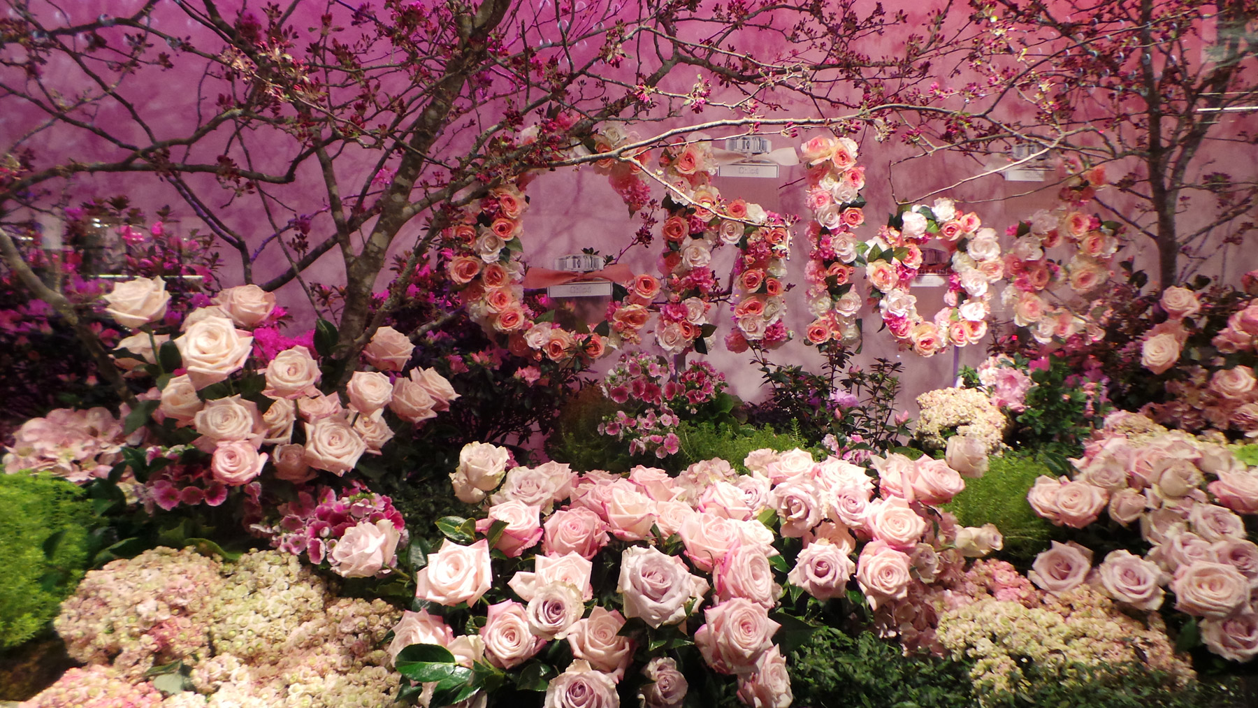 Cherry blossoms and a field of roses make for a classic feminine scene celebrating Chloe's Perfume. 