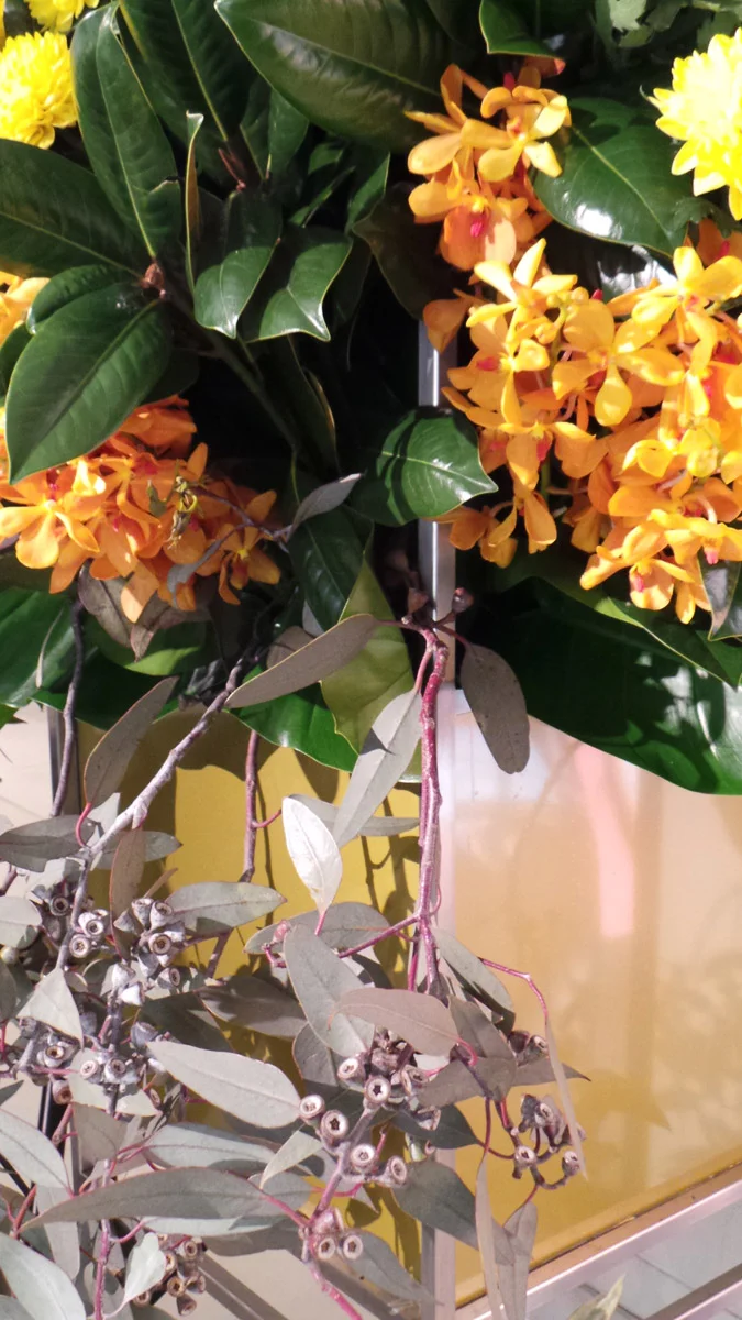 I particularly loved the contrast of the gum branches against this muted gold planter box. 