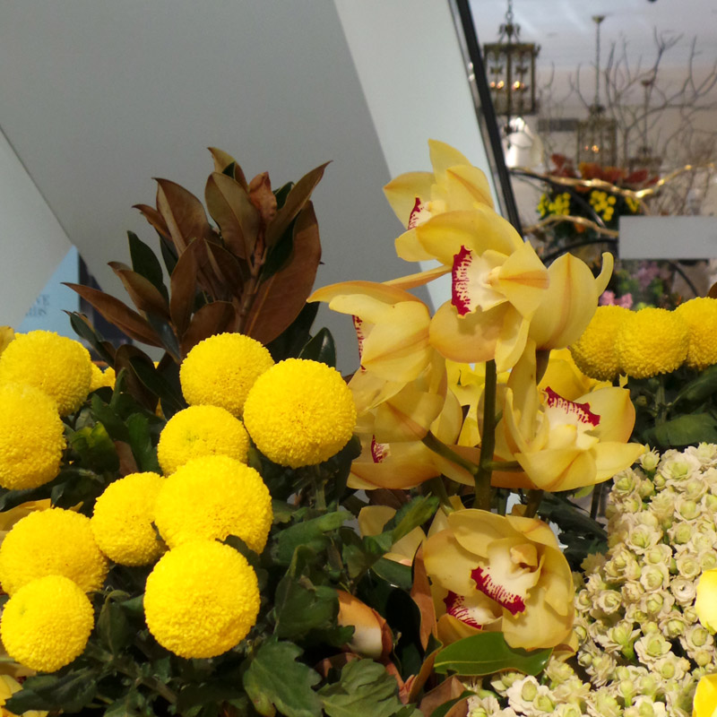A fabulous cluster of assorted yellows and shapes - how can you not be inspired by this rich variety of floral beauty?