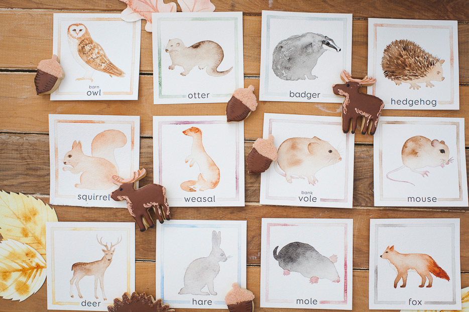 ELKPrints-Flashcards-Woodland1.jpg