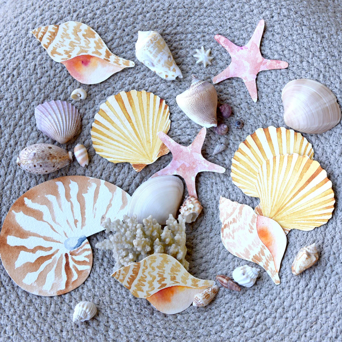 shells-3.jpg