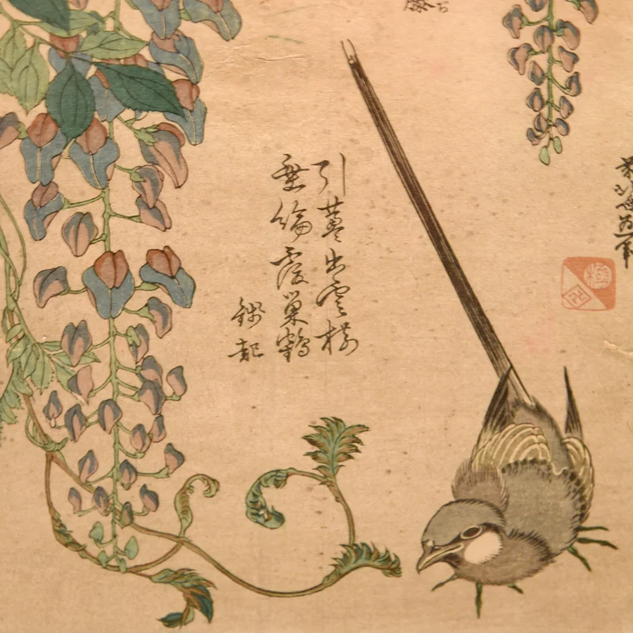 The series of flower and bird prints were particularly relevant to my recent fascination with these subject matters. 
