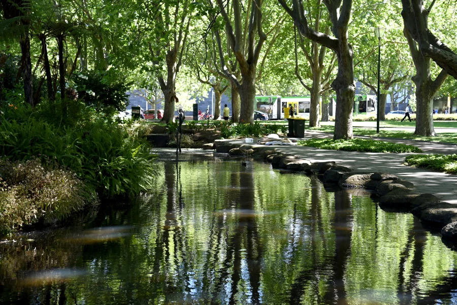I love the glimpse of the Melbourne Tram sliding past the pond at the Botanical Gardens. This shady corner was a lovely respite on a hot Melbourne day. 