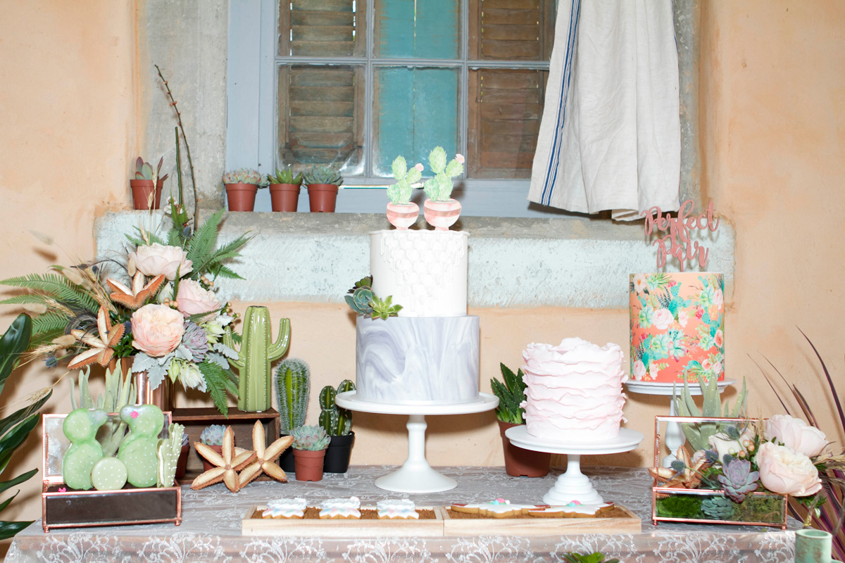 cactus-babyshower-3.jpg