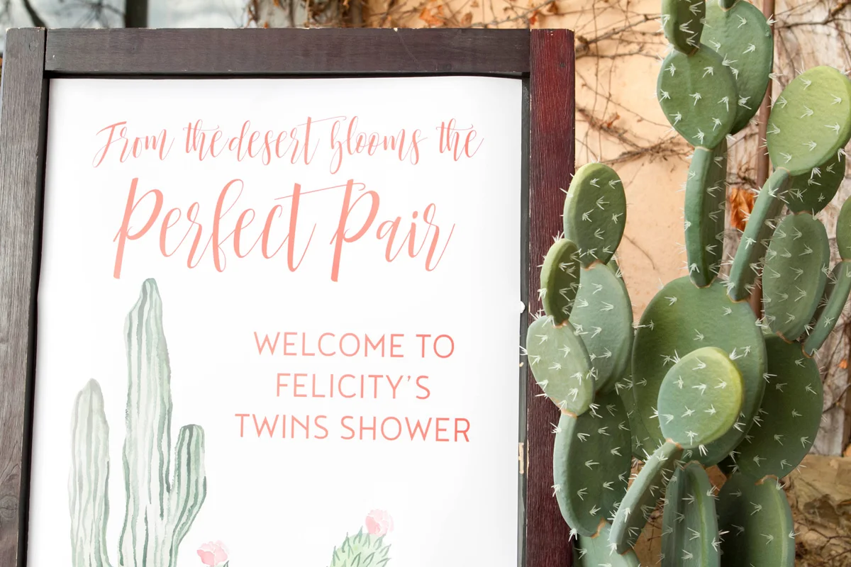 cactus-babyshower-16.jpg