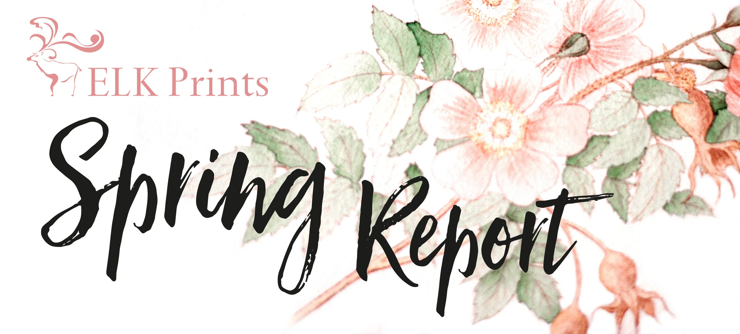 SpringReport-V1.jpg
