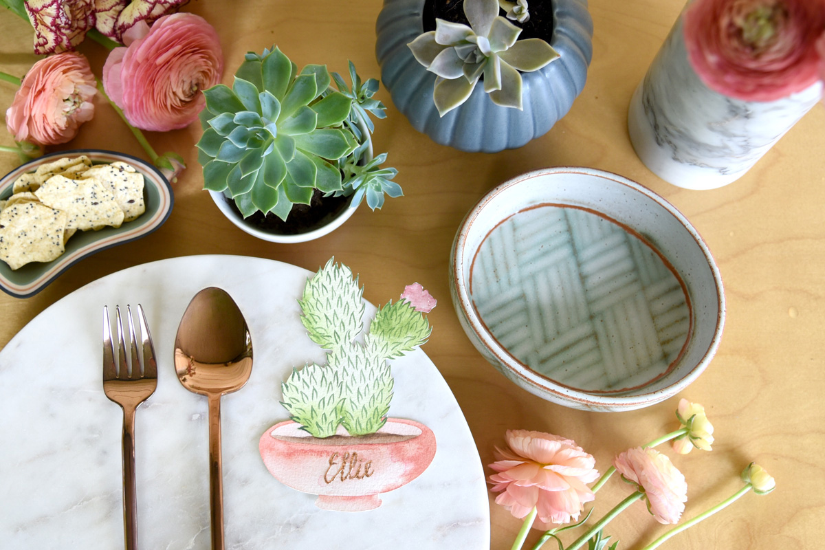 spring-cacti-table1-edit.jpg