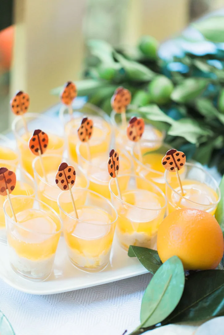 citrus-orange-garden-jelly-ladybird-cupcaketoppers.jpg