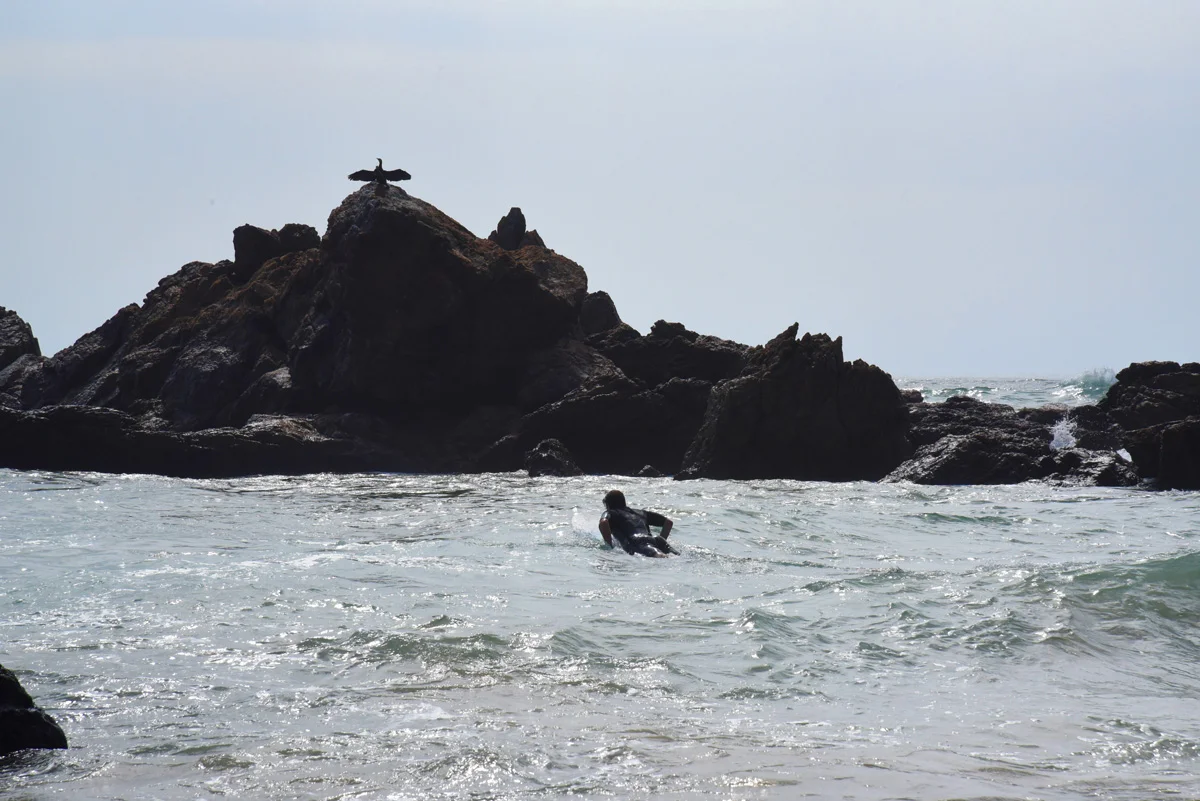 PortMacquarie-TownBeach9.jpg