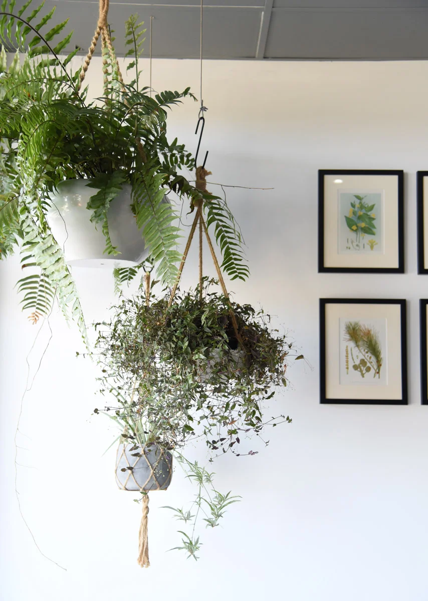 native-cateringco-1.jpg