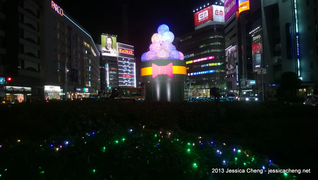 WP_20131106_003.jpg