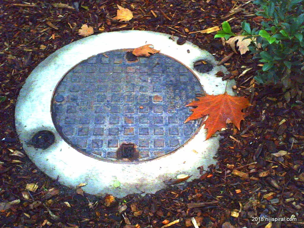 PICT0011.JPG
