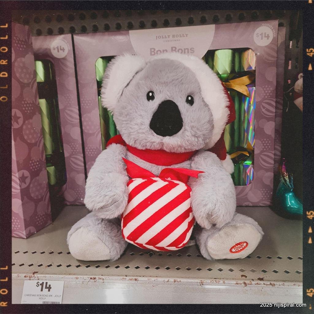 Weekly Photo: Christmas Koala